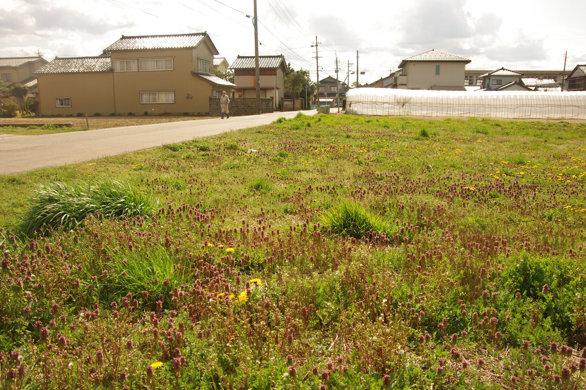 窪 のどかな時間を生かせる住宅 富山県氷見市iju 移住 応援センター みらいエンジン