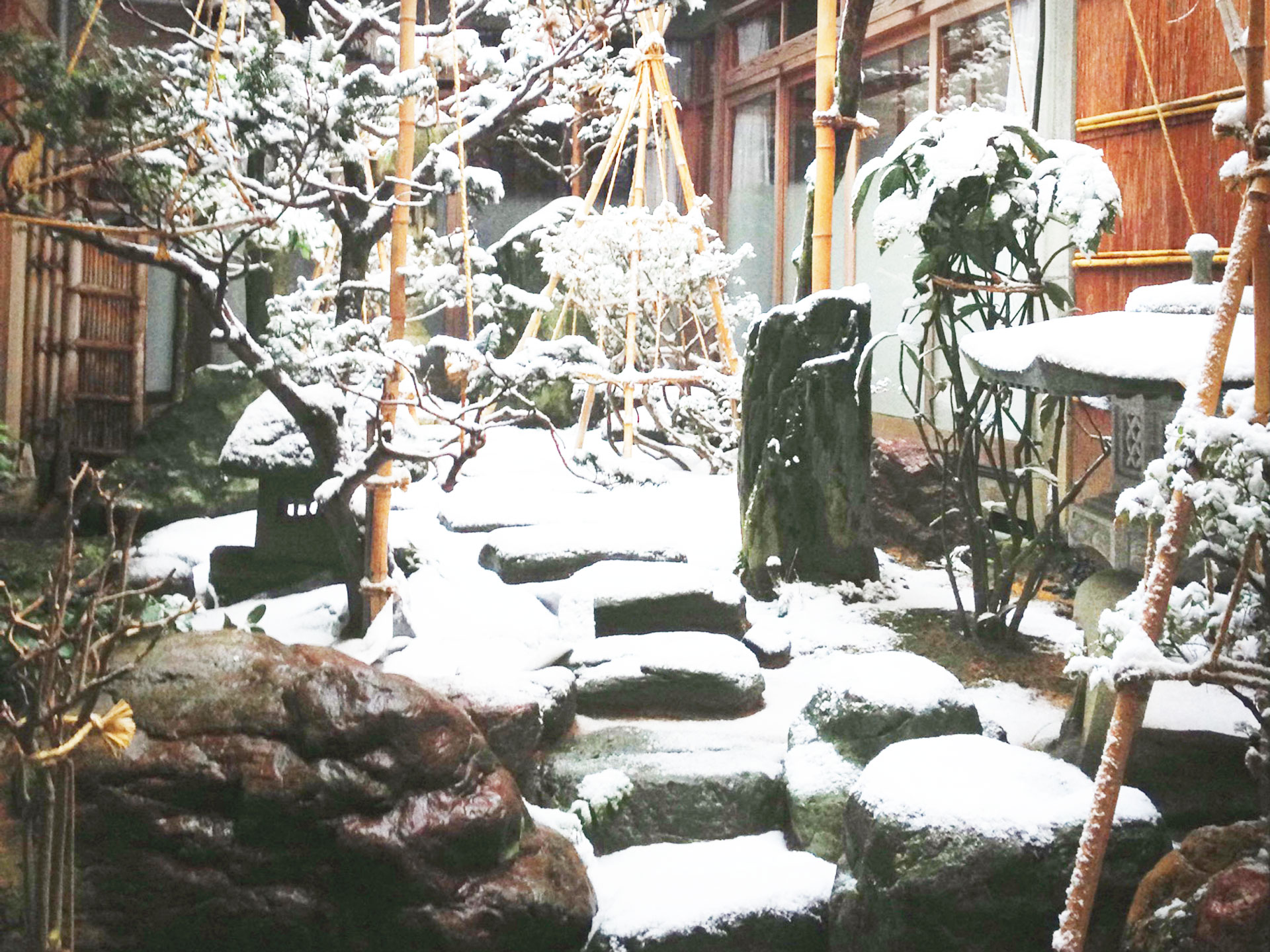 家の中の小さな庭 あなたならどう使う 富山県氷見市iju 移住 応援センター みらいエンジン