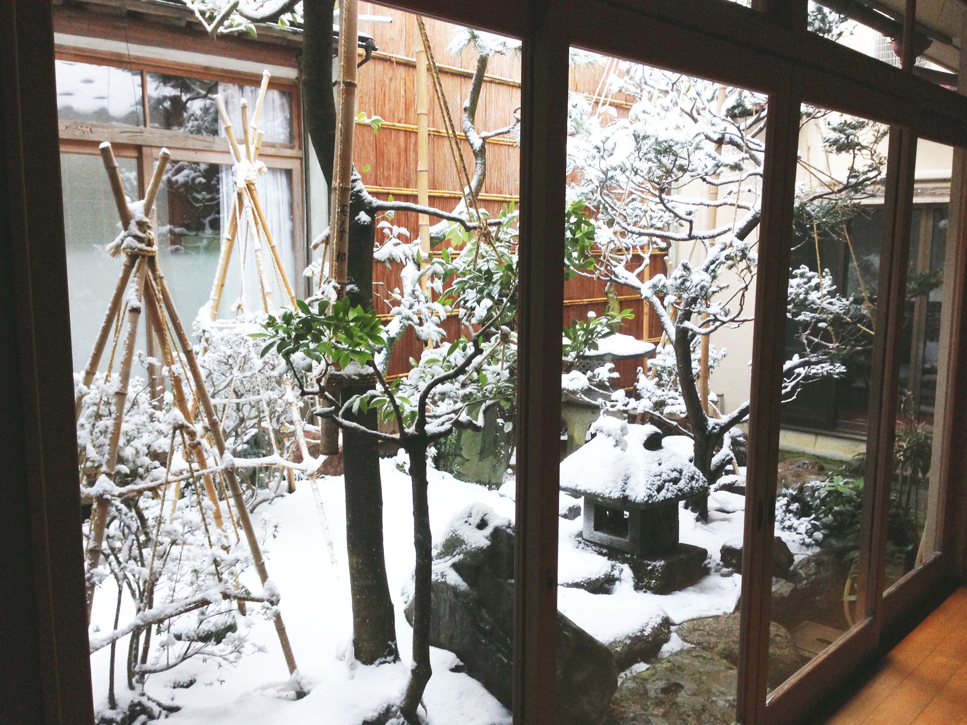 家の中の小さな庭 あなたならどう使う 富山県氷見市iju 移住 応援センター みらいエンジン